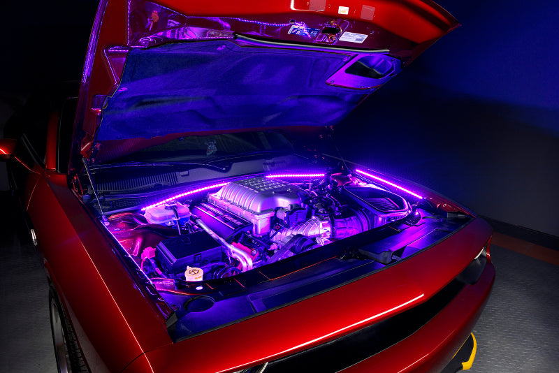 ORACLE Lighting Oracle Engine Bay LED Kit 60in - UV/Purple