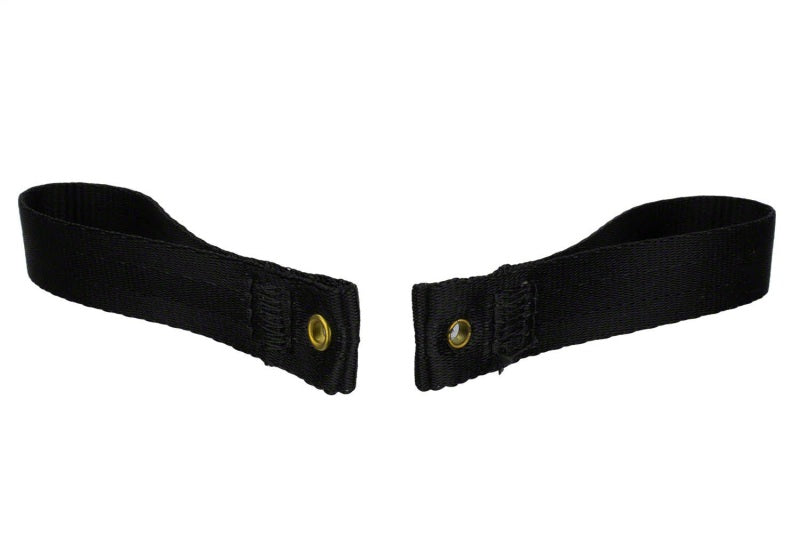 Ford Racing Bronco Tube Door Pull Strap