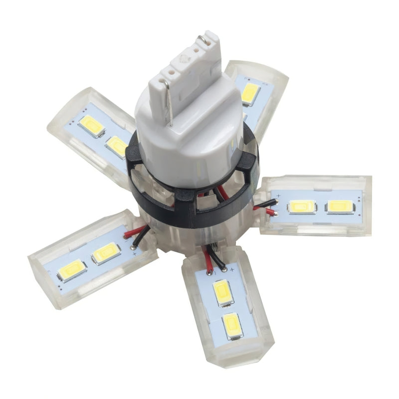 ORACLE Lighting Oracle 7440 24 SMD 3 Chip Spider Bulb (Single) - Cool White