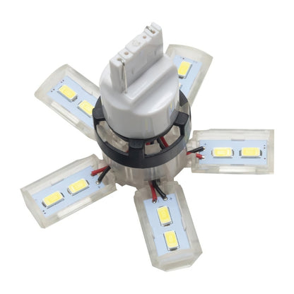 ORACLE Lighting Oracle 7440 24 SMD 3 Chip Spider Bulb (Single) - Cool White
