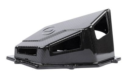 Dinan 16-26 BMW 540i/740i/840i/X5 40i/X6 40i (G05/G06/G12/G15/G16/G32) Carbon Fiber Cold Air Intake