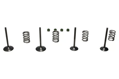 Wiseco 06-11 Suzuki LT-R450 Steel Valve Set