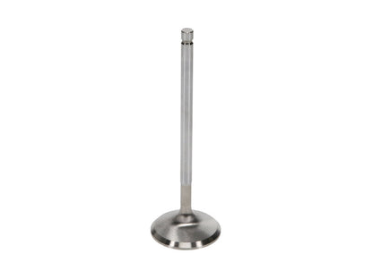 Manley Performance Manley 91-98 Nissan Sentra SE-R 2.0L SR20DE/DET 34.15mm Stainless Race Flo Intake Valve (Single)