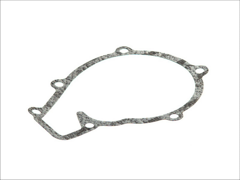 DT A/C 3.16102 Water Pump Gasket