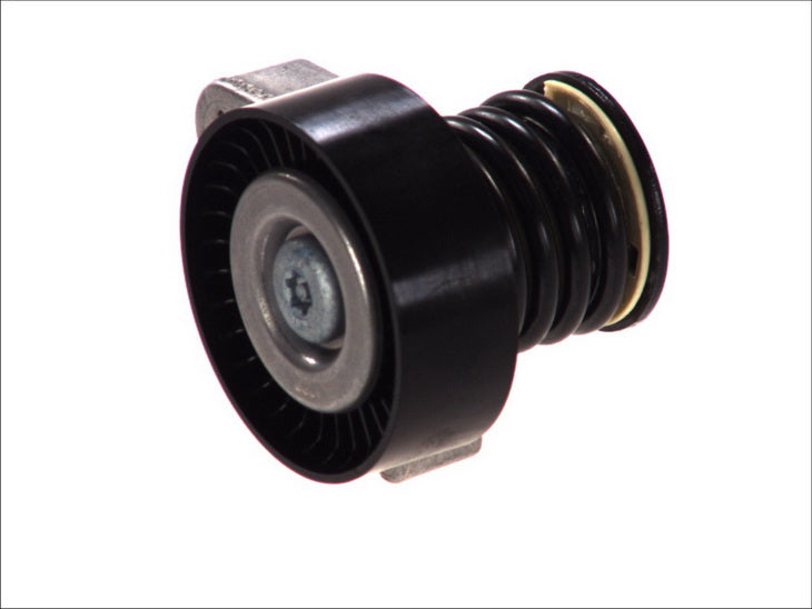 SKF VKM38072 V-Ribbed Belt Tensioner Pulley