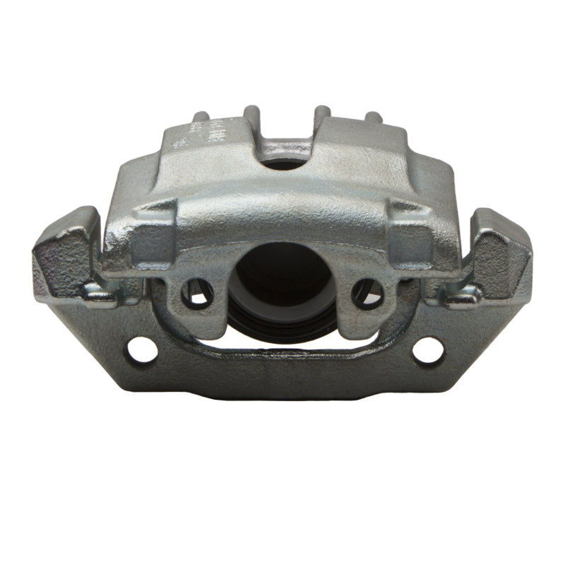 DFC 02-06 Ford Expedition Rear-R Premium Caliper - Silver Zinc Coated