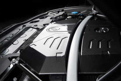 Dinan 20-25 BMW X4 M Engine Cover