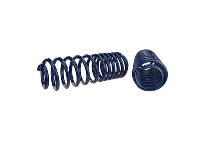 Ford Racing 2007-2014 Mustang Shelby GT500 Springs