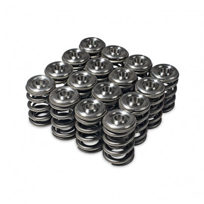 Skunk2 Racing Skunk2 Alpha Series Honda/Acura H Series Valve Spring and Titanium Retainer Kit