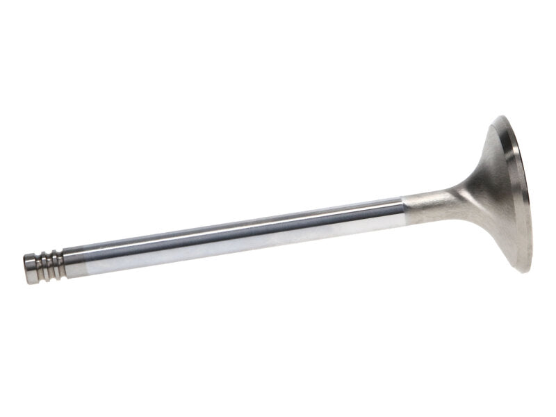 Manley Performance Manley Chrysler Hemi 6.1L w/ Triple Groove 1.625in Race Master Exhaust Valves (Single)