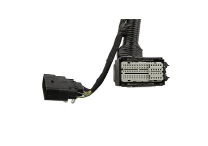 Ford Racing 5.0L Coyote Engine Harness for Automatic Transmission