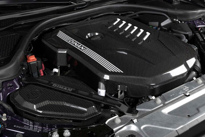Dinan 19-26 BMW B58D (G01/G02/G20/G22/G23/G26/G42) Gloss Carbon Fiber Engine Cover w/Matte Accents