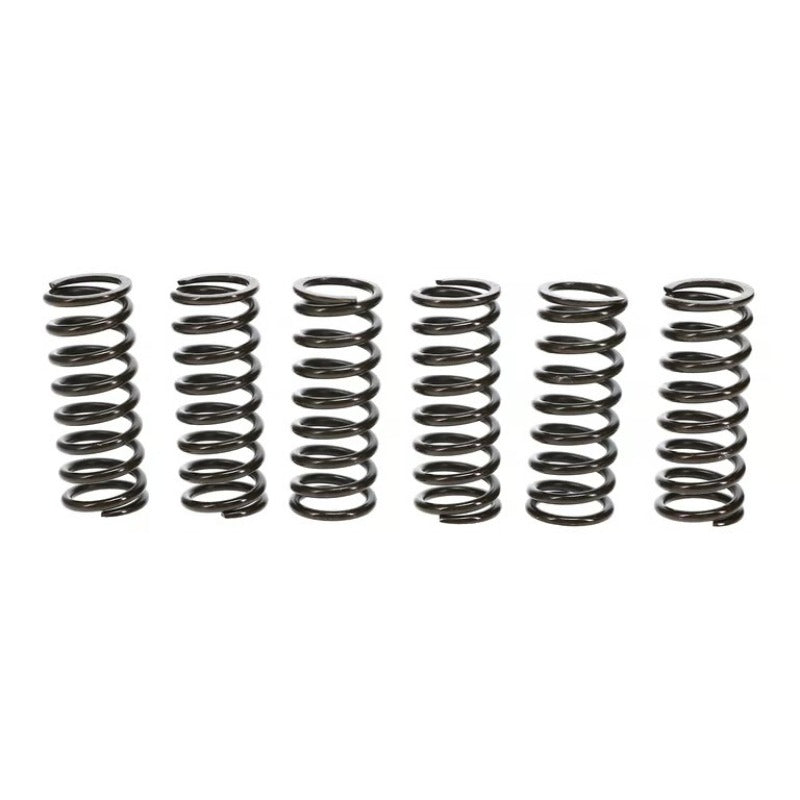 Wiseco 04-06 Yamaha YFZ450 Clutch Spring Kit
