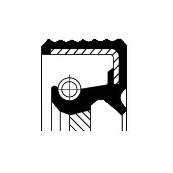 CORTECO CO12017124B Crankshaft Shaft Seal