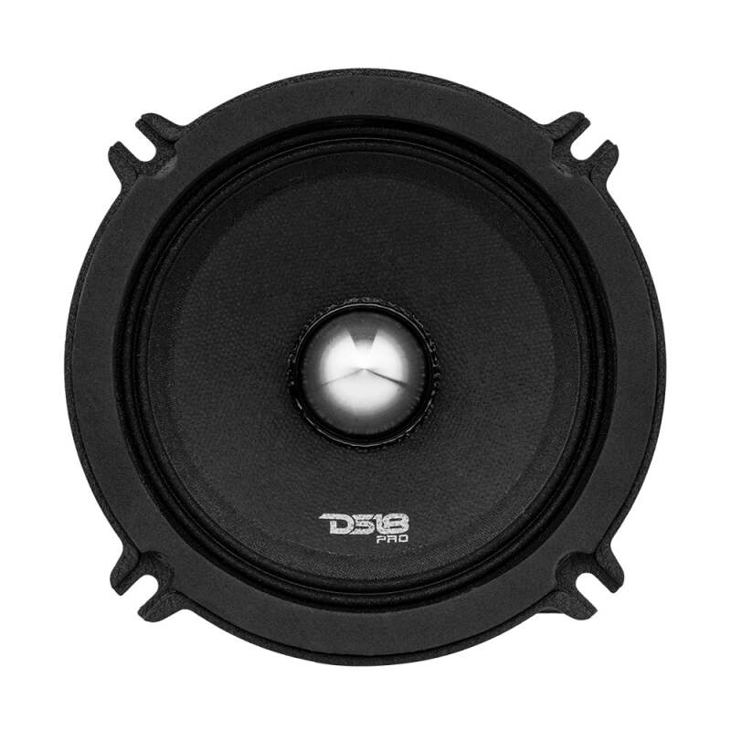 DS18 5.25 200 Watts RMS 4 ohm Neodymium Full Range Loudspeaker