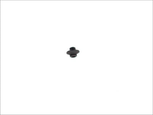 BOSCH 2433124379K Other Elements Of Fuel System