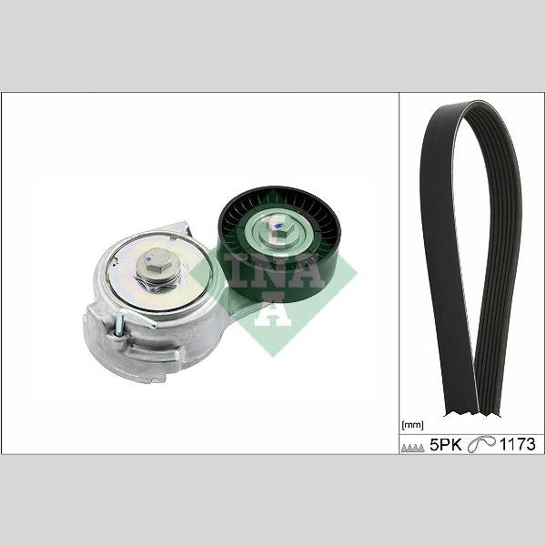 INA 529047810 V-Ribbed Belt Set