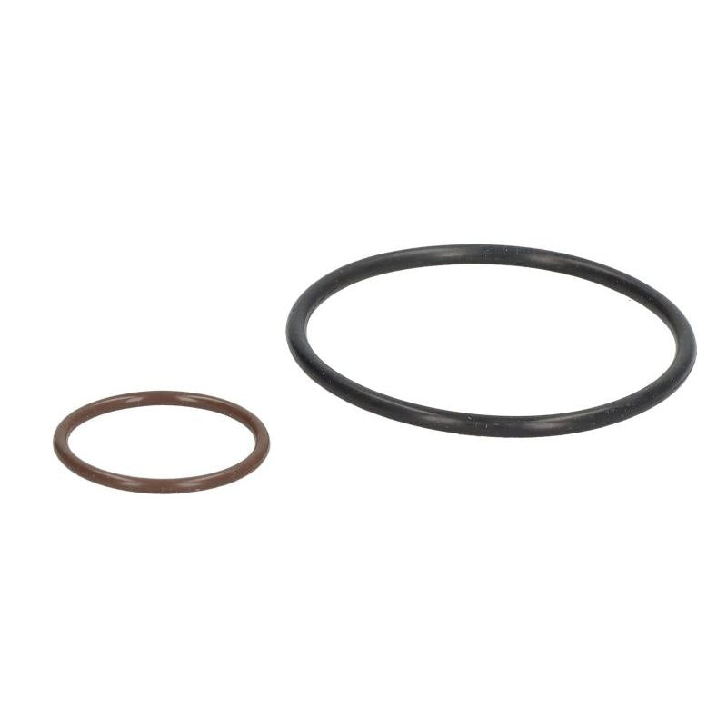 BOSS FILTERS BS04-234 Fuel Filter Housing Gasket/Seal