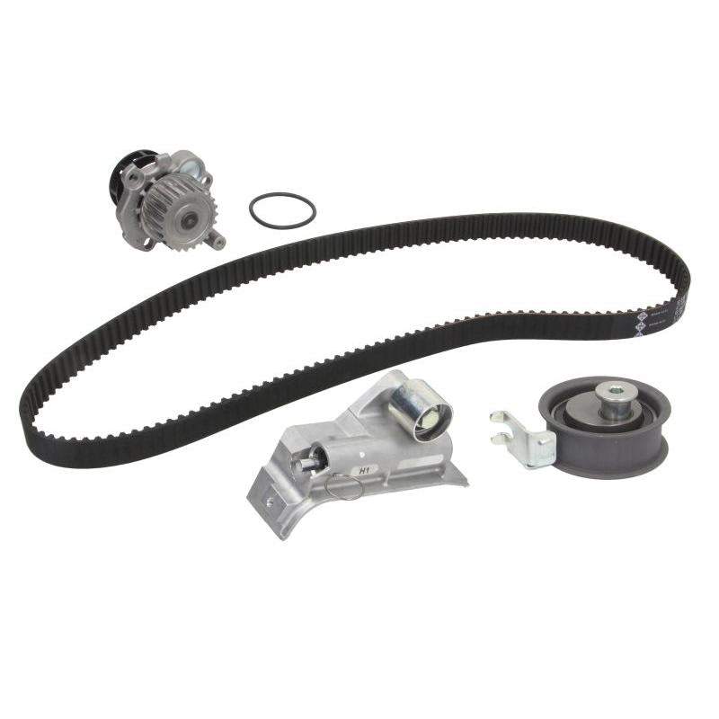 INA 530034530 Water Pump & Timing Belt Kit