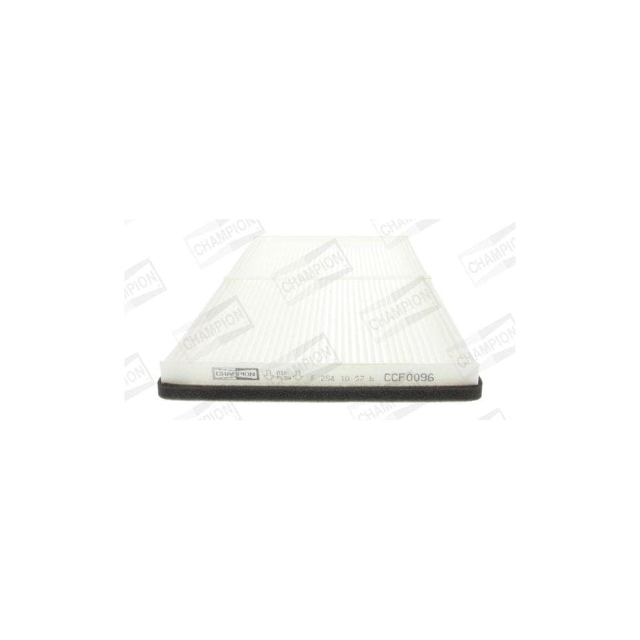 Champion Ccf0096 Pollen Filter