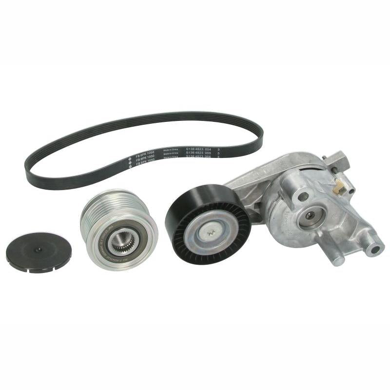 INA 529046820 V-Ribbed Belt Set