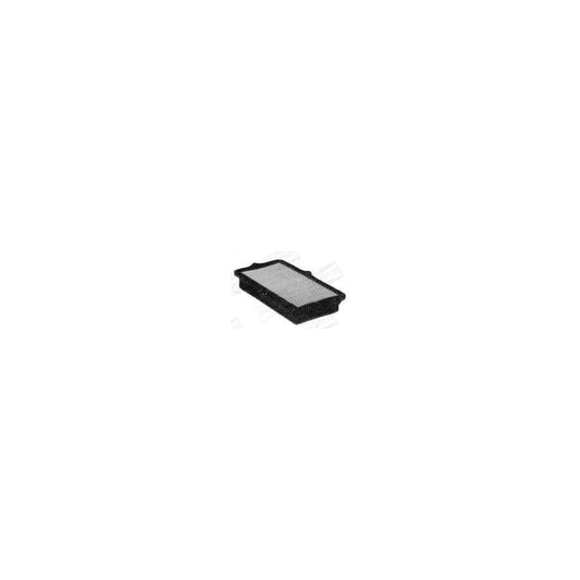 Champion U623/606 Air Filter