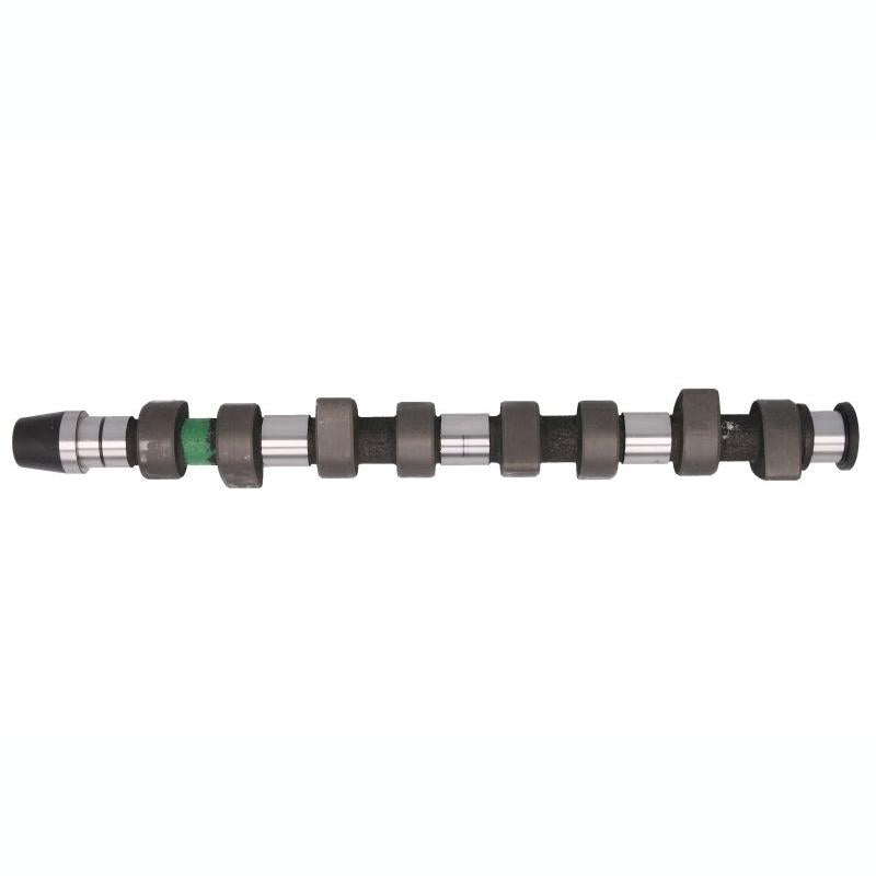 INA 428006810 Camshaft