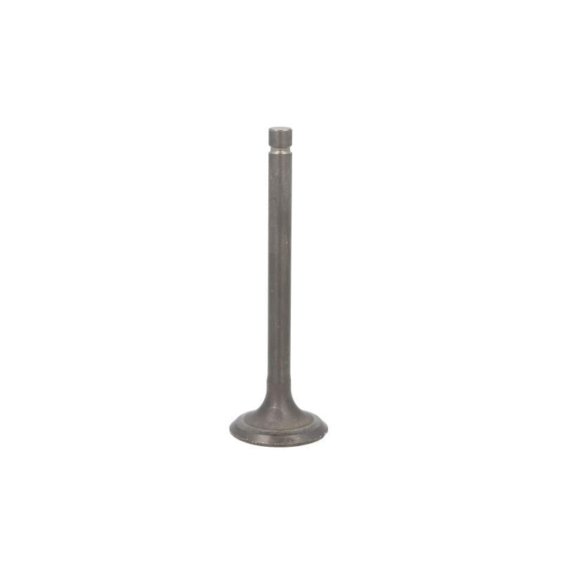 VESRAH GG-4007-EX Exhaust Valve