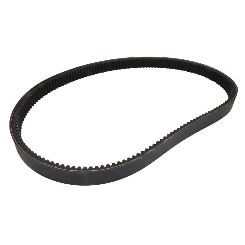 OPTIBELT 1001209AP V-Belt