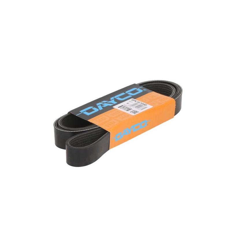 DAYCO DAY8PK1570HD V-Ribbed Belt