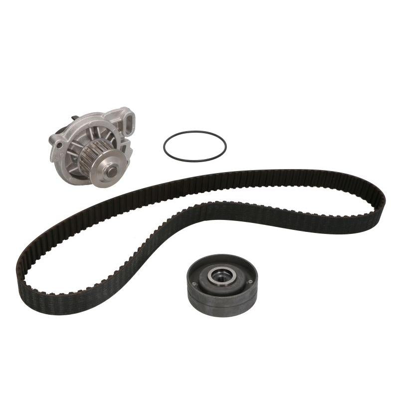 INA 530015330 Water Pump & Timing Belt Kit