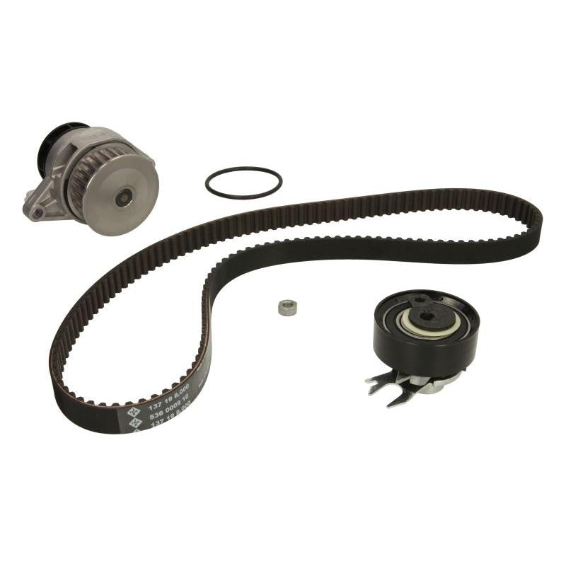 INA 530016730 Water Pump & Timing Belt Kit