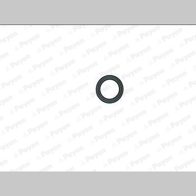 PAYEN JP077 Cylinder Head Cover Gasket