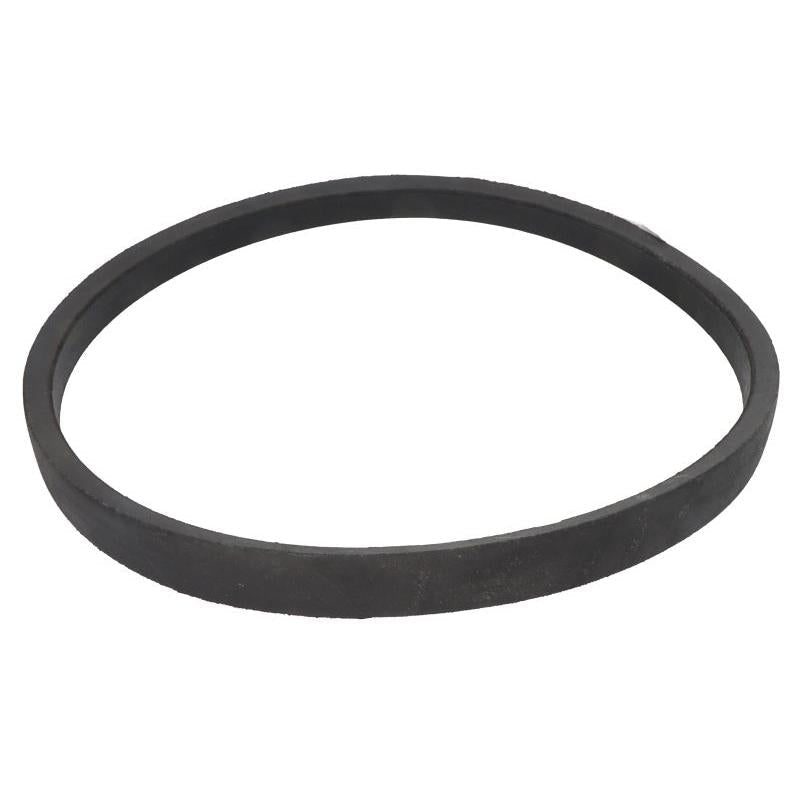 OPTIBELT 1001038AP V-Belt