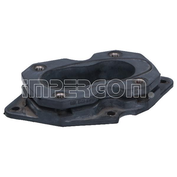 IMPERGOM MP30771 Carburettor Flange
