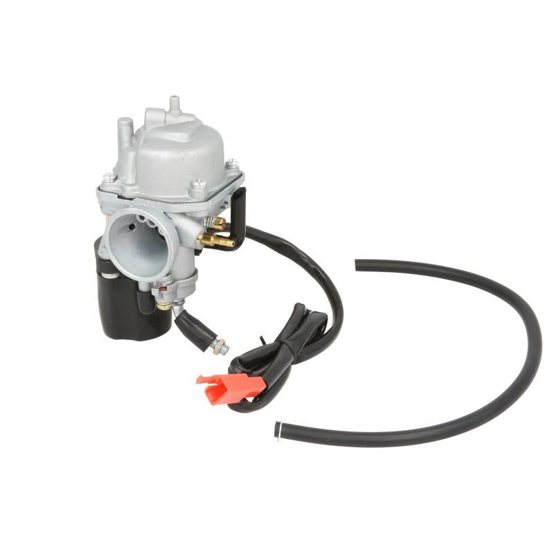 INPARTS P000050 Carburettor