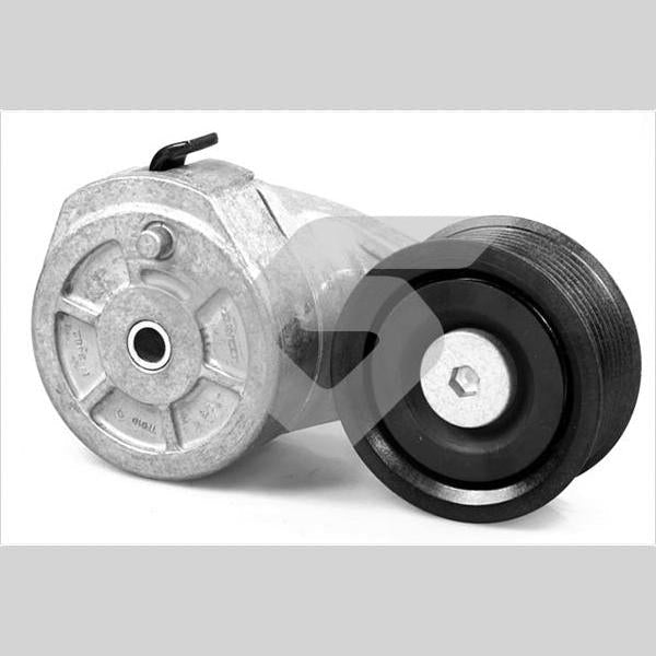 HUTCHINSON HUTK042 V-Ribbed Belt Tensioner Pulley