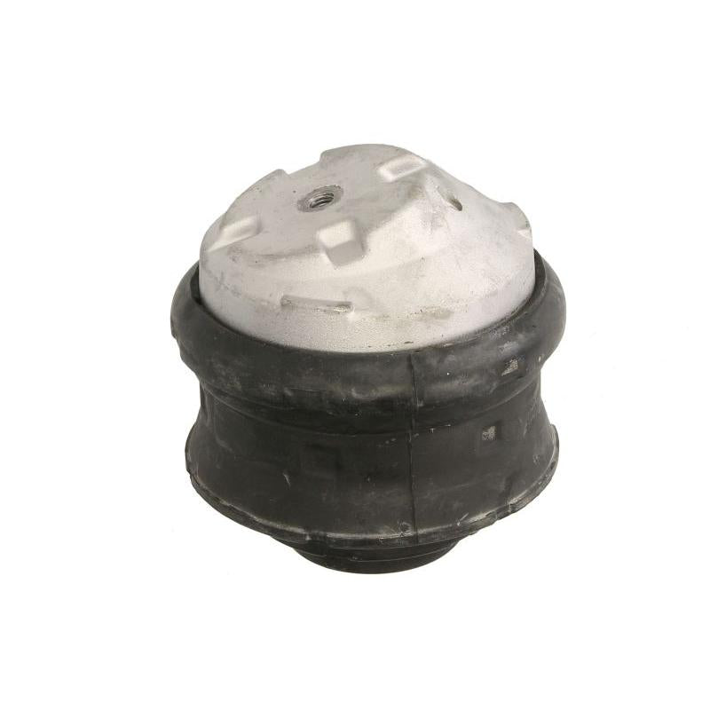 DELPHI TEM132 Engine Mount