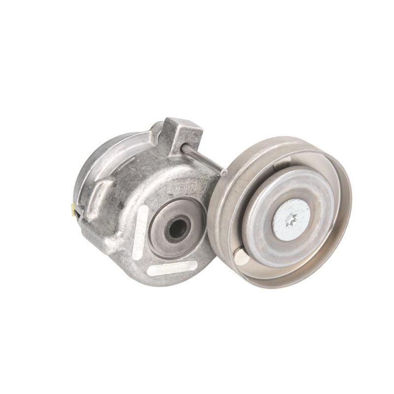 SKF VKMCV52001 V-Ribbed Belt Tensioner Pulley
