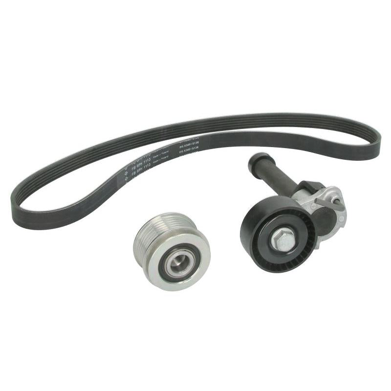 INA 529051420 V-Ribbed Belt Set