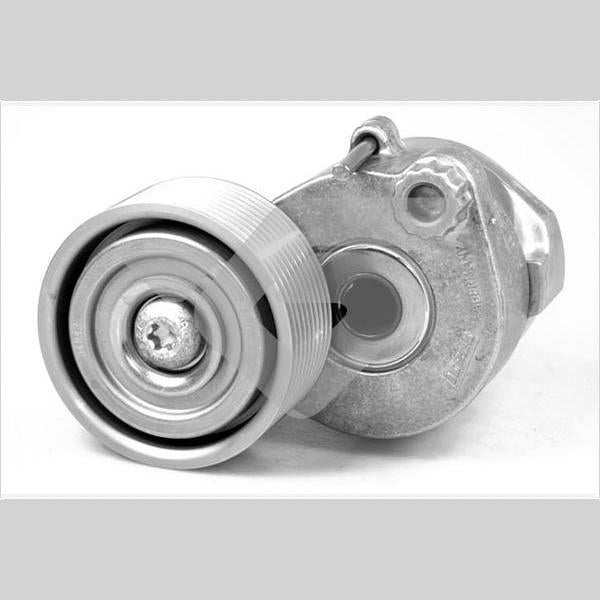 HUTCHINSON HUTK020 V-Ribbed Belt Tensioner Pulley