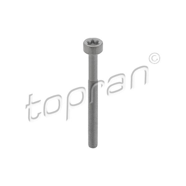 HANS PRIES 410-287 Injection Nozzle Holder Screw
