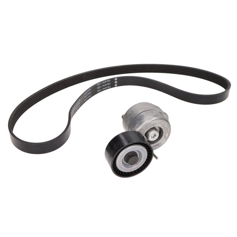 INA 529028610 V-Ribbed Belt Set