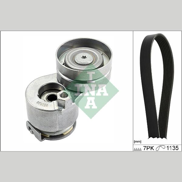 INA 529028310 V-Ribbed Belt Set