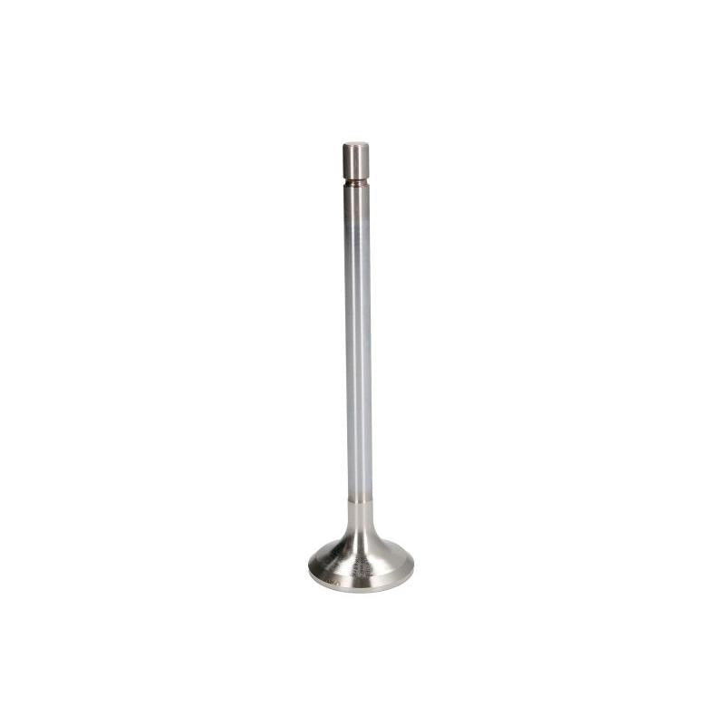 TRW 48336 Exhaust Valve