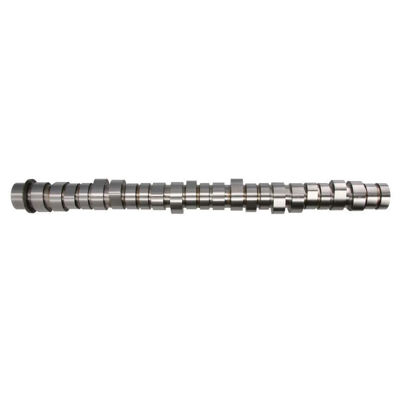 BF 20100411000 Camshaft