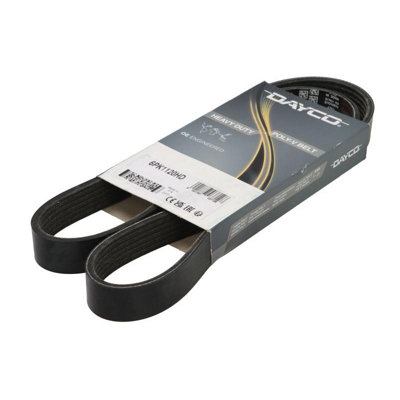 DAYCO DAY6PK1120HD V-Ribbed Belt