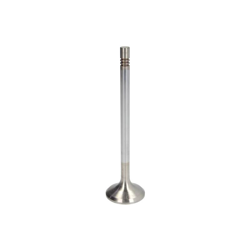 TRW 25303 Exhaust Valve