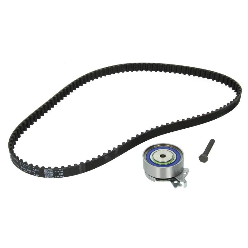 INA 530000410 Timing Belt Set