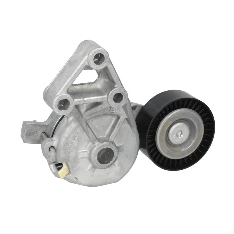 SKF VKM31019 V-Ribbed Belt Tensioner Pulley